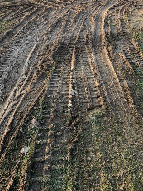 istock Tire Tracks in Mud and Grass 1310940788