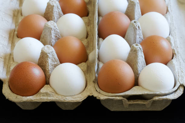 White and brown chicken eggs packed in cardboard boxes lie on a black background. Choice and variety