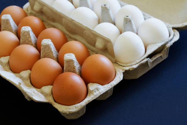 istock Open cardboard boxes with white and brown chicken eggs lie on a blue background. Choice and variety. Close-up 1310941926