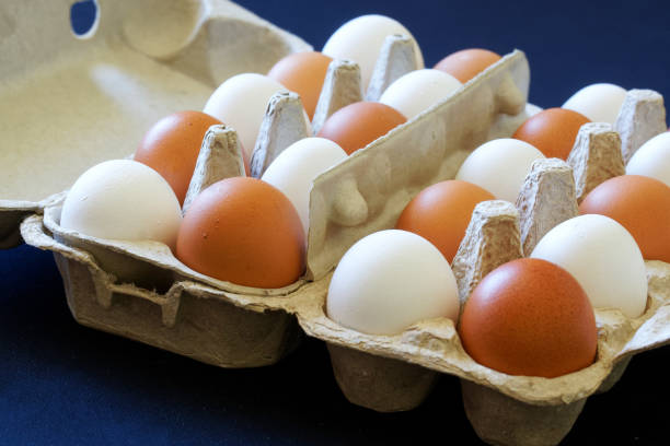 istock Twenty brown and white chicken eggs, arranged in a checkerboard pattern, lie in eco-friendly cardboard boxes. Choice and variety. Purchase before Easter. Blue background 1310941957
