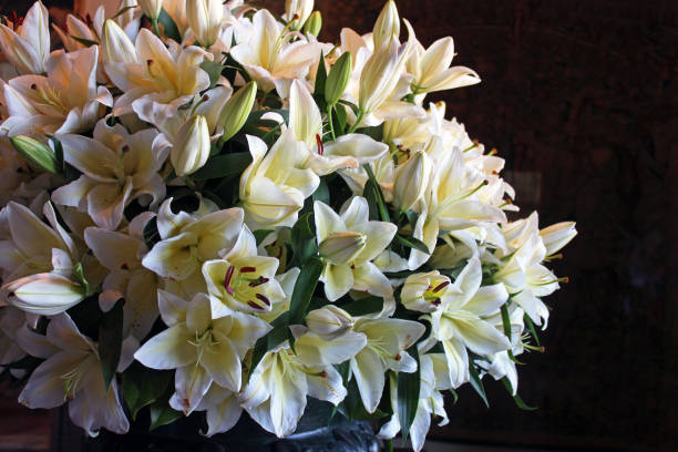 Bunch of white Lily Flowers against a black background