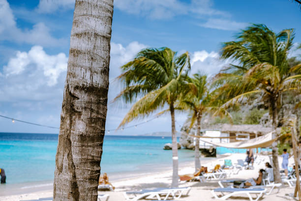 istock Selective focus with blurry background, Curacao Caribbean Island, Kokomo Beach Views around the Caribbean island of Curacao 1310946157