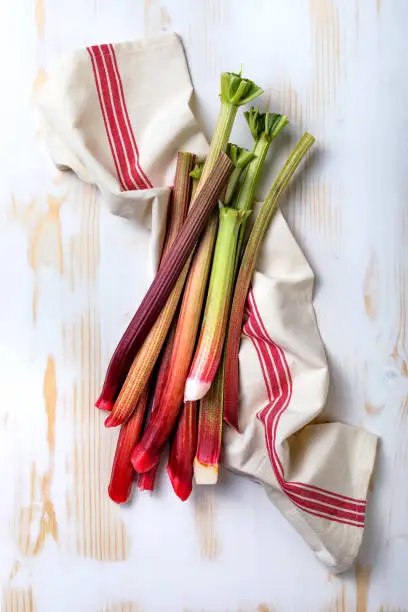 Fresh organic red rhubarb on white wooden background. Bunch of fresh picked rhubarb stalks. Top view, copy space.