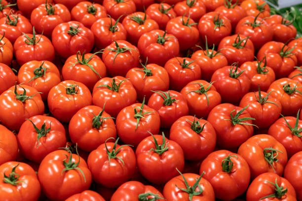 istock Pile of Tomatoes 1310950216