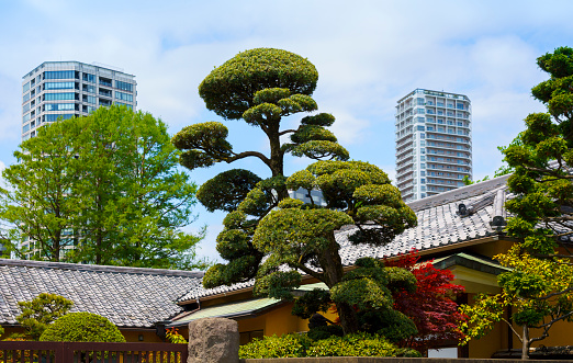 Ueno park in Tokyo and contrast between Traditional and modern architecture (Tokyo, Japone)