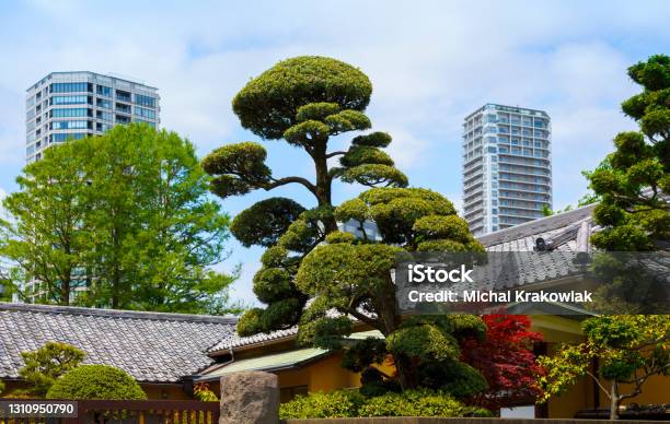 Ueno Park In Center Of Tokyo Stock Photo - Download Image Now - Public Park, Ueno - Tokyo, Contrasts