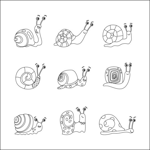 bildbanksillustrationer, clip art samt tecknat material och ikoner med tecknad snigeluppsättning - vektor illustration av söt djur kontur samling - happy slowmotion
