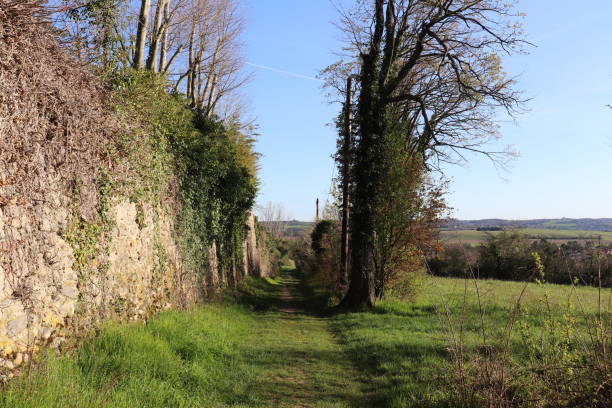 istock Walking trail in the countryside 1310953085