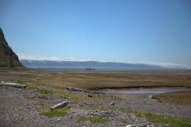 istock Nova Scotia Scenery close to Parrsborro 1310955577