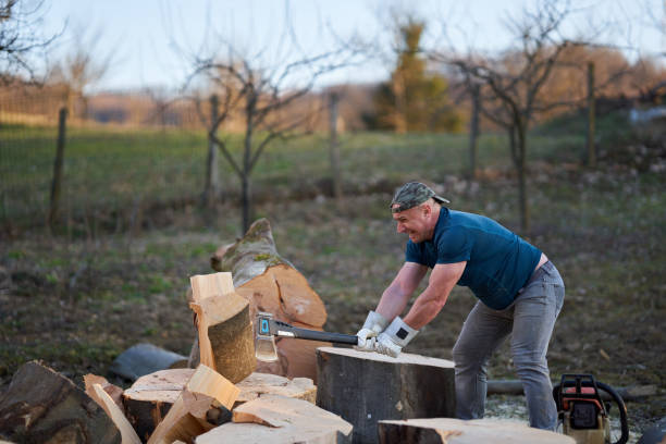 istock Strong woodman splitting logs 1310958221