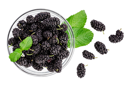 Mulberries with mint leaves on white background with clipping path. Top view