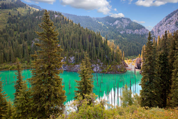 Kaindy Lake in Kazakhstan known also as Birch Tree Lake or Underwater forest.