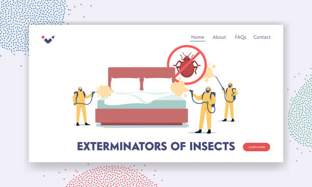 istock Professional Pest Control Service Doing Room Disinsection against Bed Bugs Landing Page Template, Exterminators 1310963860