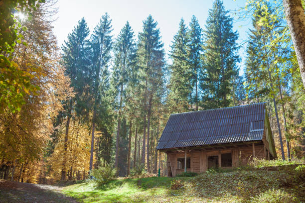 old wooden house in beautiful forest in autumn. - forest hut window autumn imagens e fotografias de stock