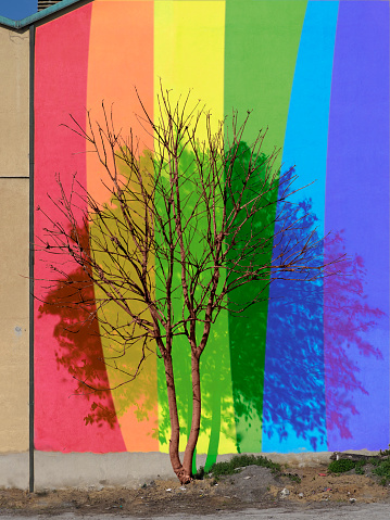 Spoiled tree casting a rainbow silhouette: symbol of hope for minorities rights.