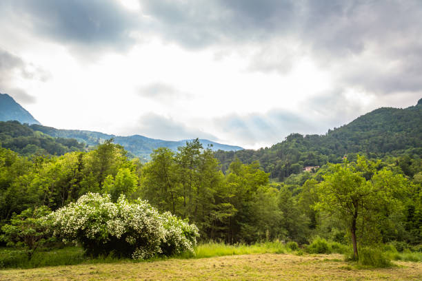 istock Beautiful Lombardy mountains in splendor of spring 1310966653