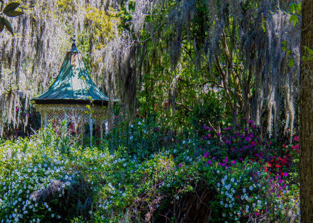 istock Painted Southern Garden 1310968531