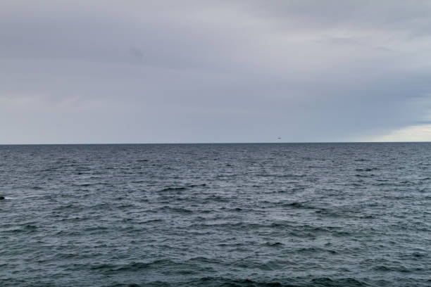 istock Seas of Magellan Strait, Chile 1310969200