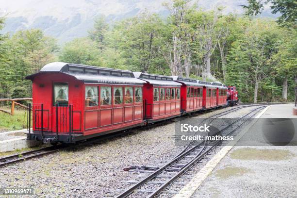 Tourist Steam Train In National Park Tierra Del Fuego Argentina Stock Photo - Download Image Now