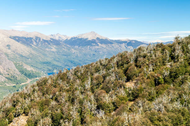 montagne vicino bariloche, argentina - cerro catedral foto e immagini stock