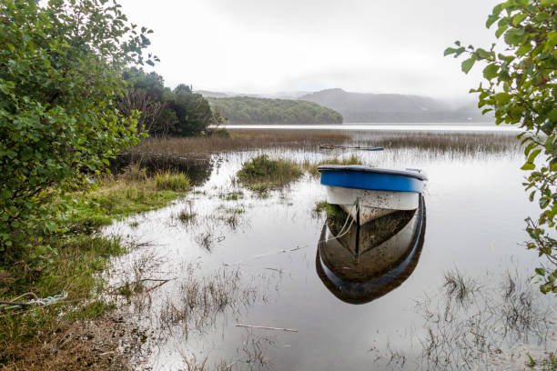 istock Cucao lake in Chiloe national park, Chile 1310969696