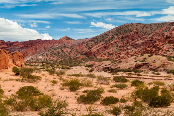 istock Rock formations in Quebrada de Cafayate valley, Argentina 1310970038