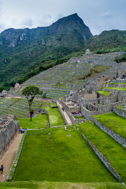 istock Inca's agricultural terraces at Machu Picchu, Peru 1310971909