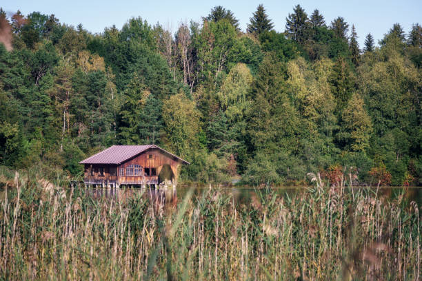 istock Quiet, secluded boathouse on a small pond surrounded by grass and trees. 1310971981