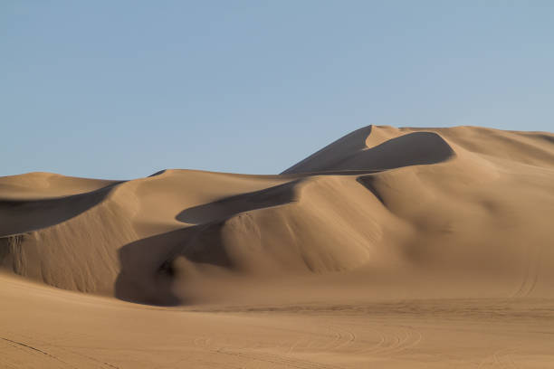 istock Sand dunes nar Huacachina, Peru. 1310972108