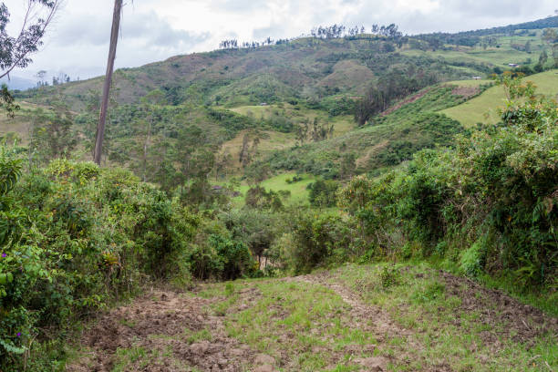 istock Countryside in cloud forest mountains around Leymebamba, northern Peru. 1310972809