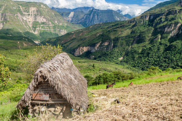 istock Small rural hut near Catarata del Gocta waterfall, Peru 1310973233