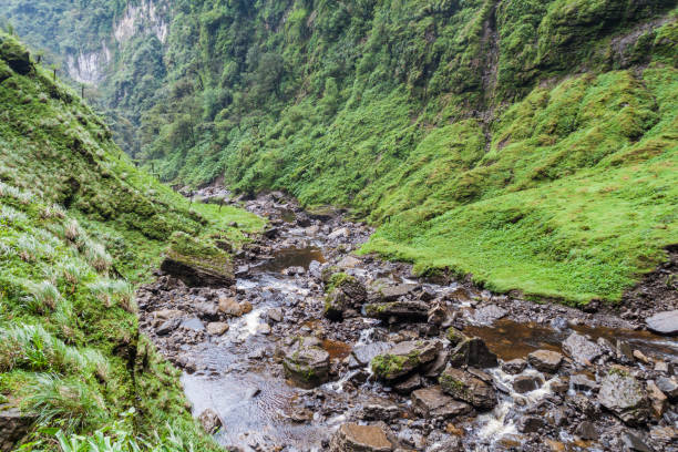 istock Stream flowing from Catarata del Gocta waterfall in northern Peru 1310973264