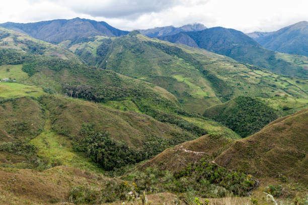 istock Countryside in cloud forest mountains around Leymebamba, northern Peru. 1310973369