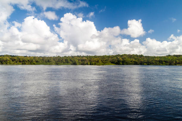istock River Oiapok (Oiapoque or Oyapock) between Brazil and French Guiana 1310974987