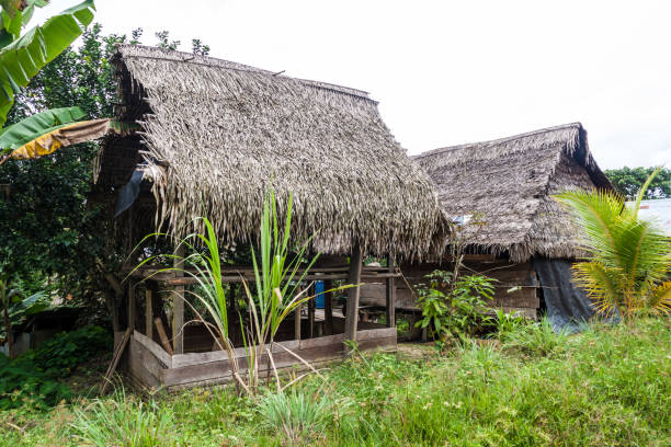 istock Small house in village Pantoja, Peru 1310975040