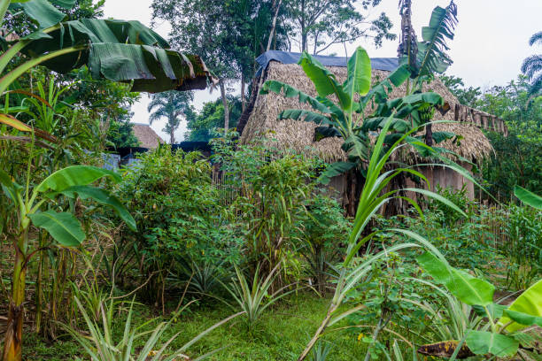 istock Small house in village Pantoja, Peru 1310975045