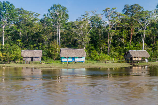 istock Small village in a peruvian jungle 1310975055