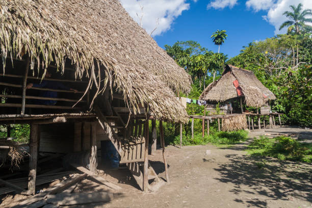 istock Traditional houses in peruvian jungle 1310975102