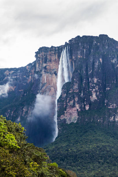 istock Angel Falls (Salto Angel), world's highest waterfall (978 m), Venezuela 1310975158
