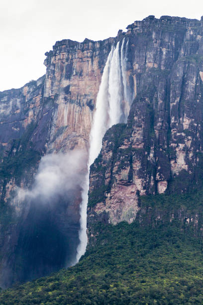 istock Angel Falls (Salto Angel), world's highest waterfall (978 m), Venezuela 1310975238