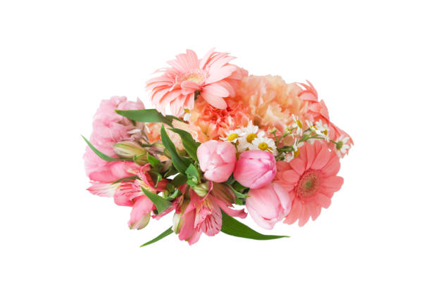 istock various kind of flowers in a white background 1310979001