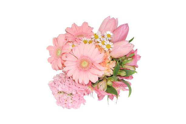 istock various kind of flowers in a white background 1310979010