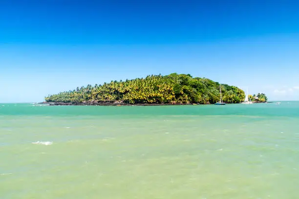 Photo of Ile Saint Joseph island in archipelago of Iles du Salut (Islands of Salvation) in French Guiana