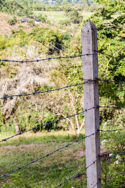 istock Barbed wire fence protecting a pasture 1310980137