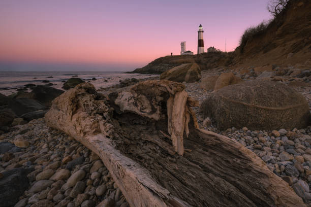 Driftwood and Montauk Lighthouse at dusk Driftwood at Montauk Lighthouse in New York montauk point stock pictures, royalty-free photos & images
