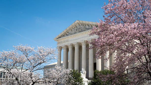 United States Supreme Court with Cherry Blossoms Cherry Blossom Season at the Supreme Court in Washington DC supreme court stock pictures, royalty-free photos & images