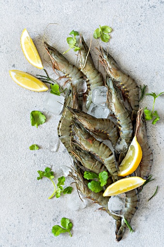 Fresh tiger prawns with lemon slices, herbs and spices on ice cubes on a light gray background. Raw marinated seafood ready to cook
