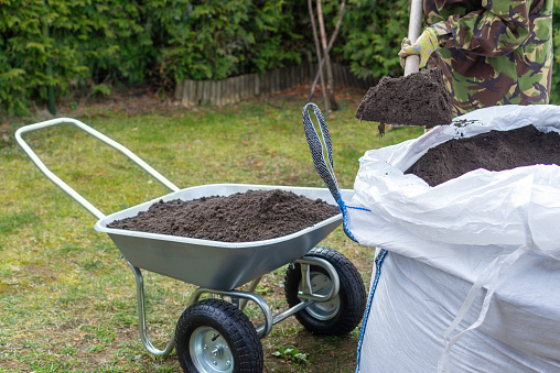 Person pours soil from a big bag into a wheelbarrow in the garden
