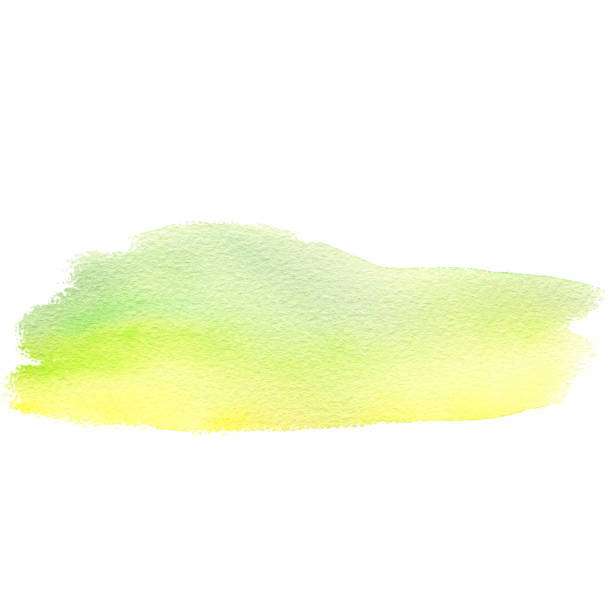 istock Watercolor green grass landscape, Hand drawing illustration isolated on white background. 1310995971