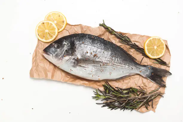 Photo of Raw dorada fish or gilt-head bream on paper over white background, flat lay, top view